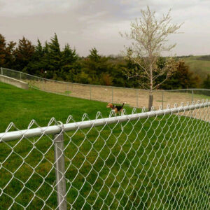 Chainlink Fencing